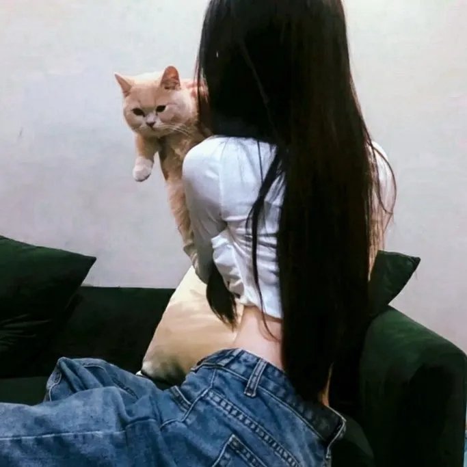 朕的刺客女友