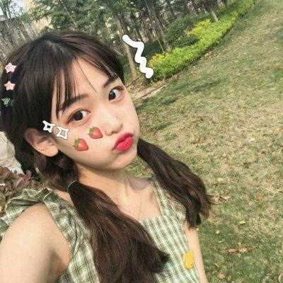 北部丛林